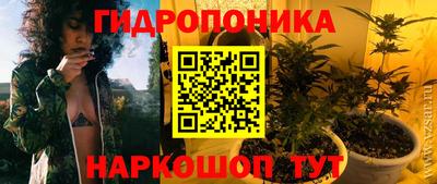 ГАЛЛЮЦИНОГЕННЫЕ ГРИБЫ Коммунар