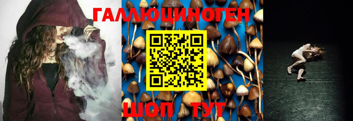 Псилоцибиновые грибы мицелий Кострома